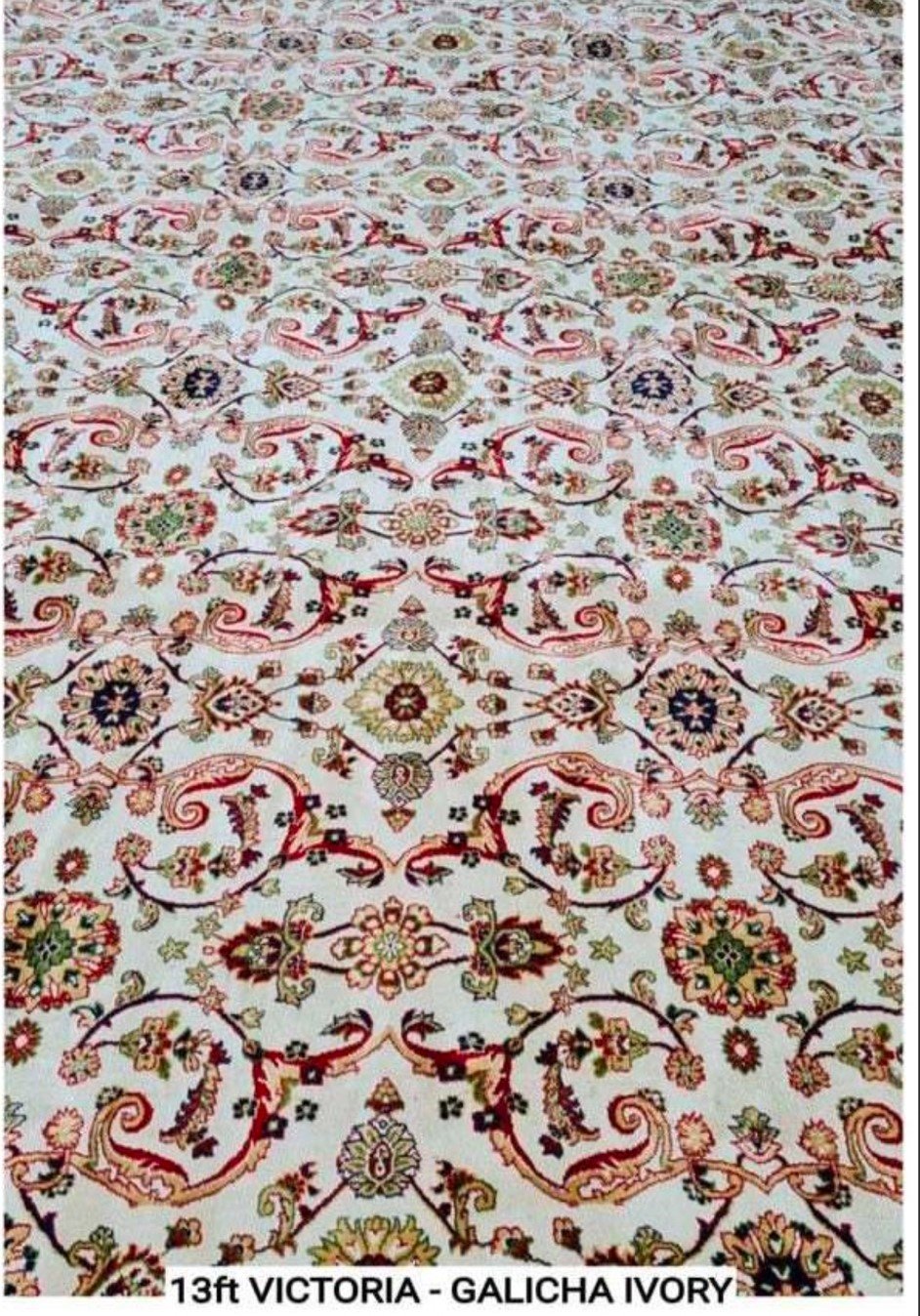 Ivory Regal - Image 2