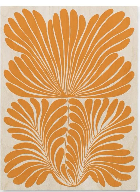 Sunburst Fern - Image 2